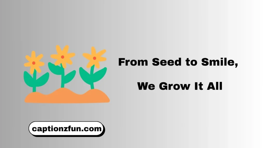 Flower Farm Taglines